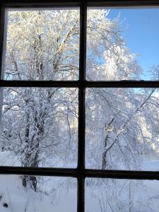 Tunnelmallinen mökki saunalla