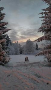 Tunnelmallinen mökki saunalla