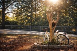 Sleeps 13 Saltwater Pool Fully Fenced in Yard