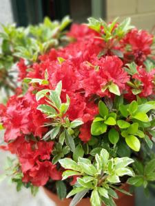 Albergue Val de Samos