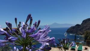 Viviendas Vacacionales JardÃn La Punta