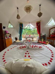 The Tortoise Dome Lodge