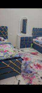 مصر الاسكندرية ميامي