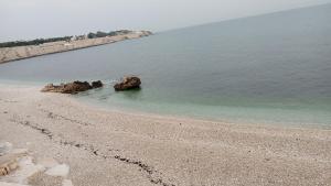 ALMAREDo