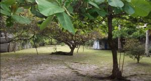 Camping da Lu - Arraial DAjuda