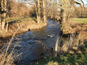 Spacious Villa in La Roche en Ardenne