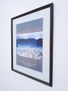 Alojamiento EL CAMINO