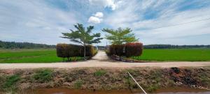 Casa Studio Roomstay Sekinchan