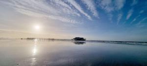 Haus-Dreilanden-Whg-05