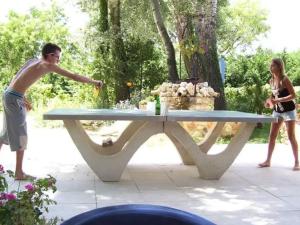 Mobil home avec terrasse - 6 pers. - API-1-52-1971