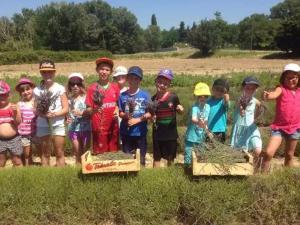 Mobil home avec terrasse - 6 pers. - API-1-52-1971