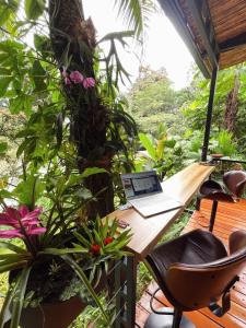 Cabaña Río San Carlos Ecolodge