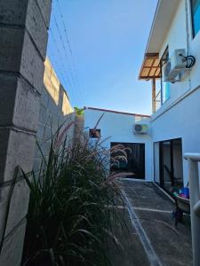 Wayo ocean view Tamanique house