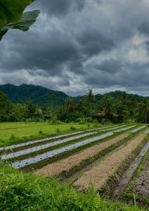 Adisamasta Guesthouse