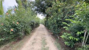 Mutram Heritage Stay