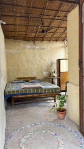 Wake by the lake cottages