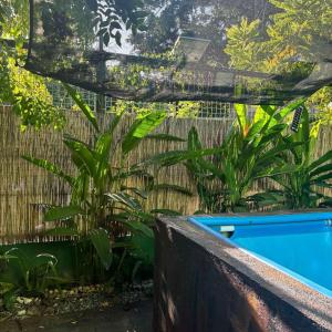 Golden V Farms Hacienda