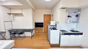 Skytree地鐵徒步5分 Tokyo東京夜景 機場直達 帶廚房 洗衣機 電梯 D