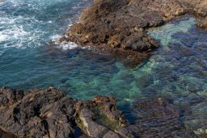 La Casa Catalana sui Bastioni img33