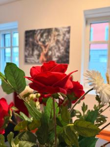 Stylish Flat walking distance to Zurich Mainstation