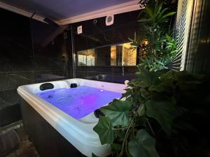 Jacuzzi et Cinéma, Merignac2