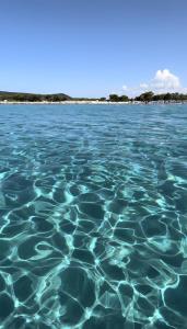 Villa Oasi dei Fenicotteri