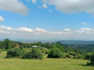 Homnest - Bosquet des Domes n2 - Puys a cheval