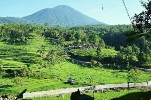 Suweden homestay jatiluwih