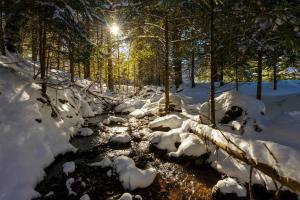 Sueños de Telera by BeValle