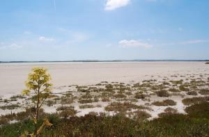 Vistamare Incodia Apartments img18