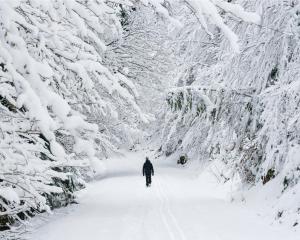 El Ciervo de Santa María by BeValle