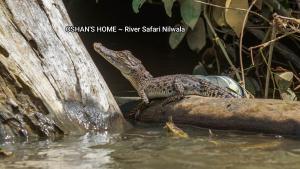 Oshans Home - Guest House - Polhena