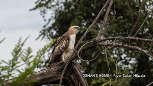 Oshans Home - Guest House - Polhena