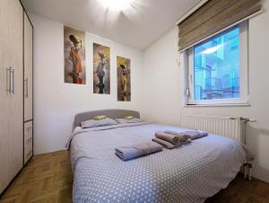 Stay & smile Novi Sad 222