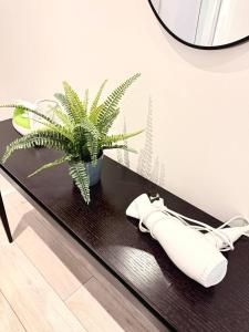 Amazing flat in london