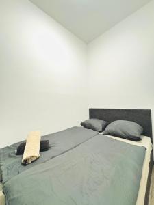 Modern 2BR Apt for 5 people with the city center