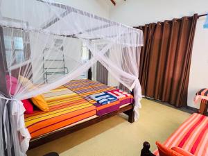 Jungle view one bedroom apartment