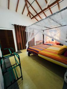 Jungle view one bedroom apartment