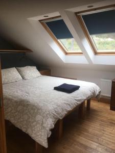 Ceridwen Glamping, double decker bus and Yurts