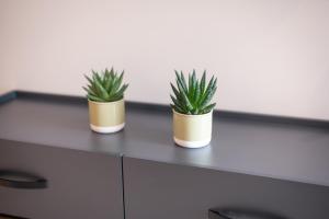 Aurora Apart, 4 - Sea view suites near the beach