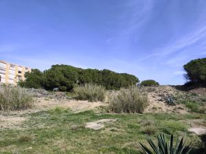 207 Pinada Beach I