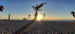LE BARCARES - plage à pied - logement climatisé 1 chambre avec terrasse, 4 personnes - parking privé