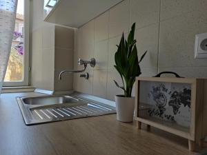 The Stone Alley Retreat