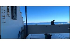 Waterfront Masterpiece