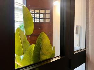 Romantic Rome Bramante Apartment