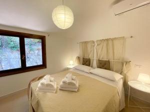 CASE BELVEDERE img57