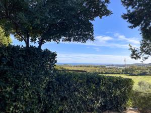 CASE BELVEDERE img96