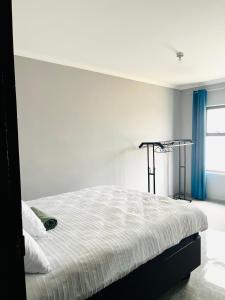 Pluto Guesthouse