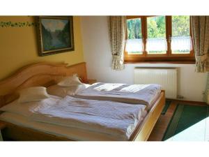 Fewo Hoher Göll im Punzenlehen