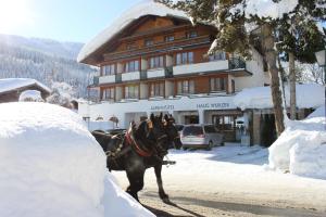 3 star hotel Alpenhotel Wurzer Filzmoos Austria